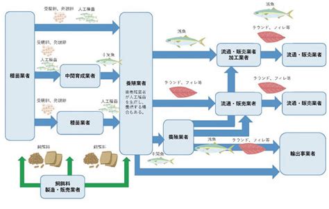 養殖方法|養殖魚ができるまで 